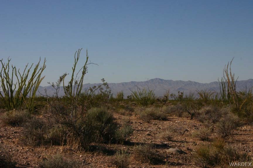G5 A Sherry Road Yucca, AZ 86438 - Photo 6 of 16 Gallery Image 6