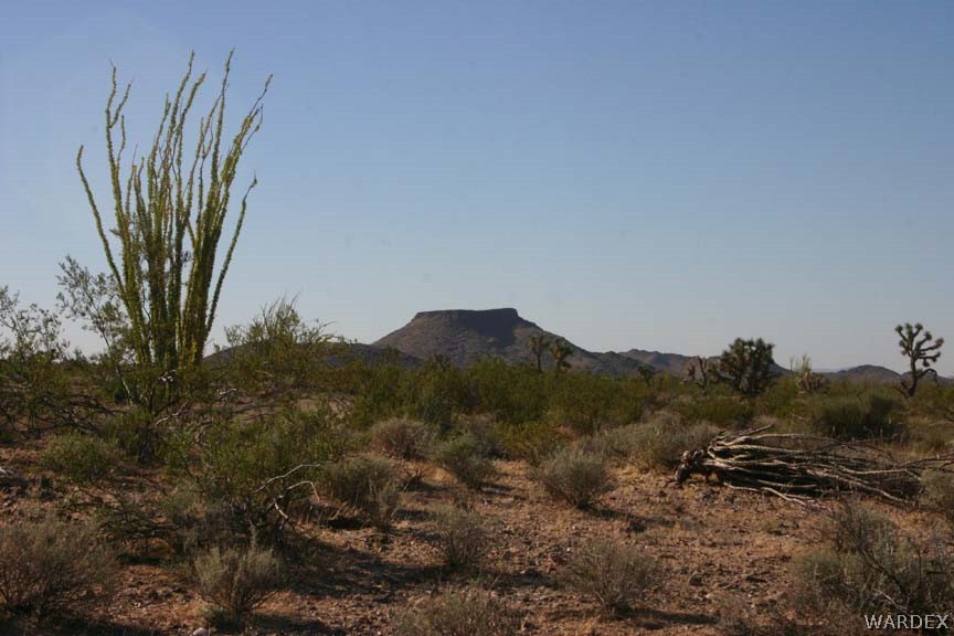 G5 A Sherry Road Yucca, AZ 86438 - Photo 7 of 16 Gallery Image 7