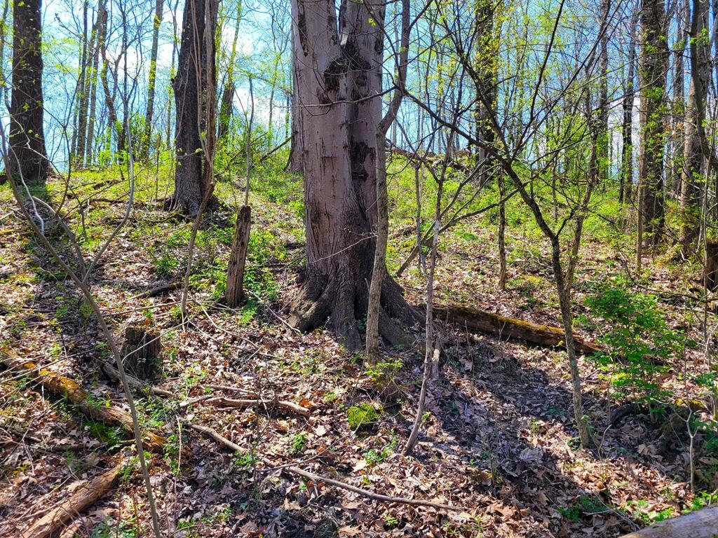 8670 Hoop Pole Road Roseville, OH 43777 - Photo 18 of 65 20220424_123303