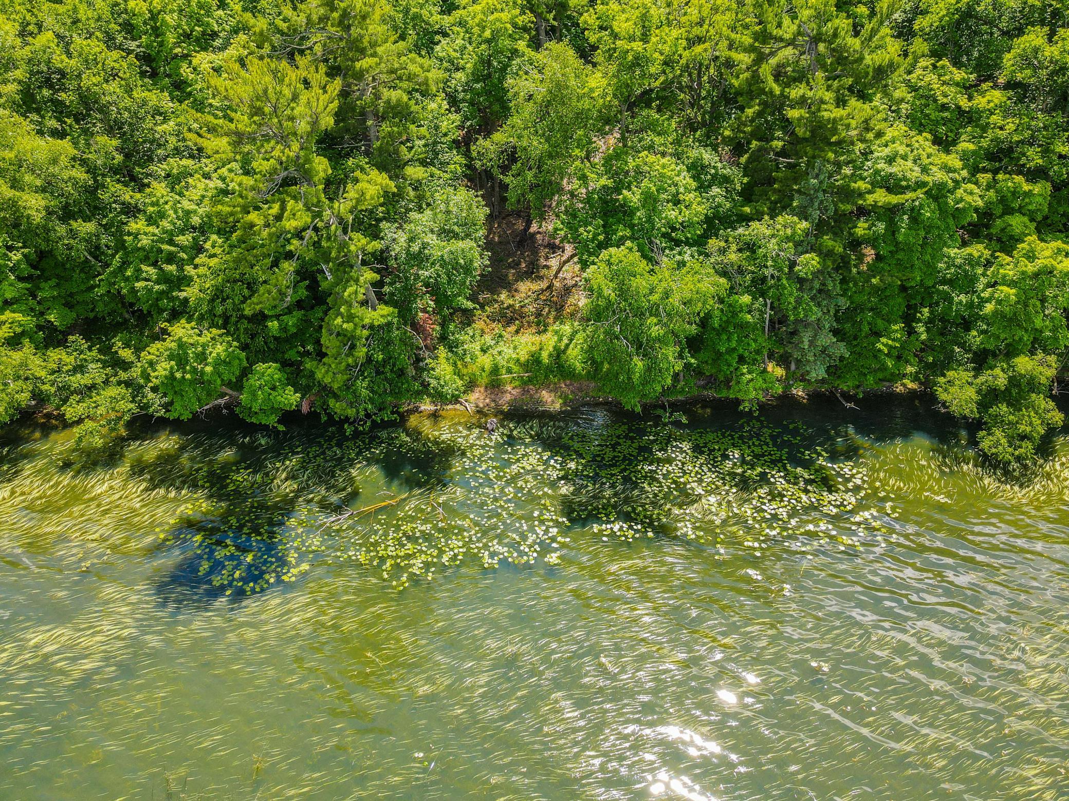 44698 Idas Road Osage, MN 56570 - Photo 13 of 18