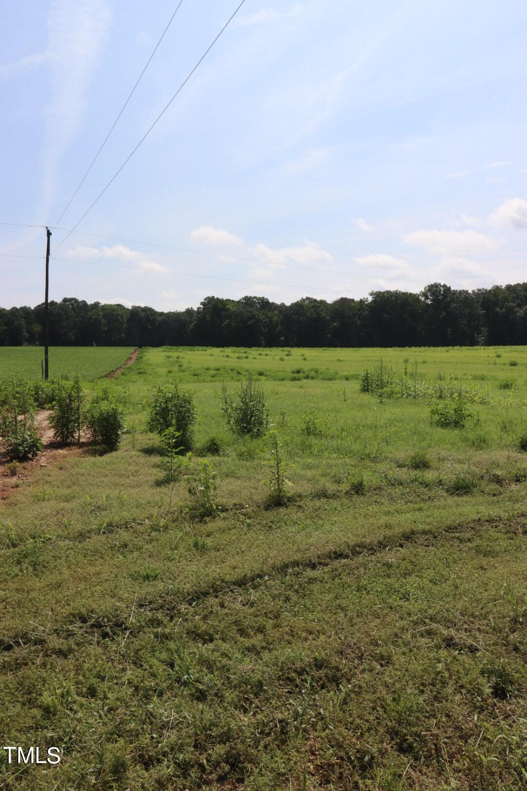 Lot 2 Claude Lewis Road Middlesex, NC 27557 - Photo 5 of 6 IMG_4049