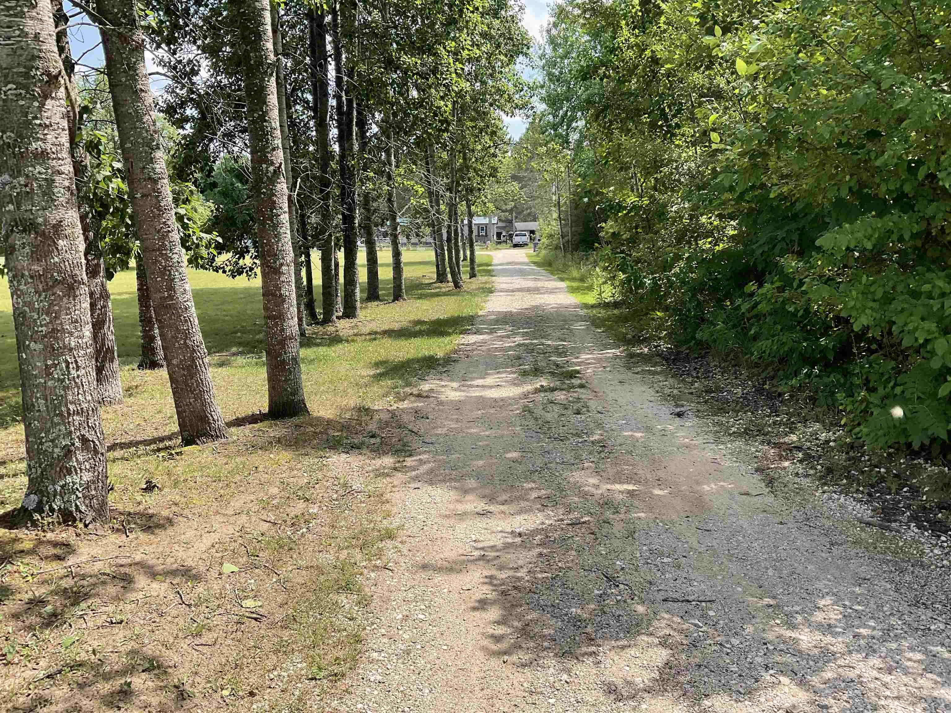 10694 Freeman Road Mesick, MI 49668 - Photo 34 of 39