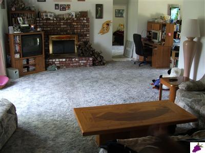 31618 Delaware Road Coarsegold, CA 93614 - Photo 2 of 6 Huge living room with fire place.
