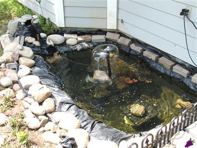31618 Delaware Road Coarsegold, CA 93614 - Photo 6 of 6 Little koi pond by front entry.