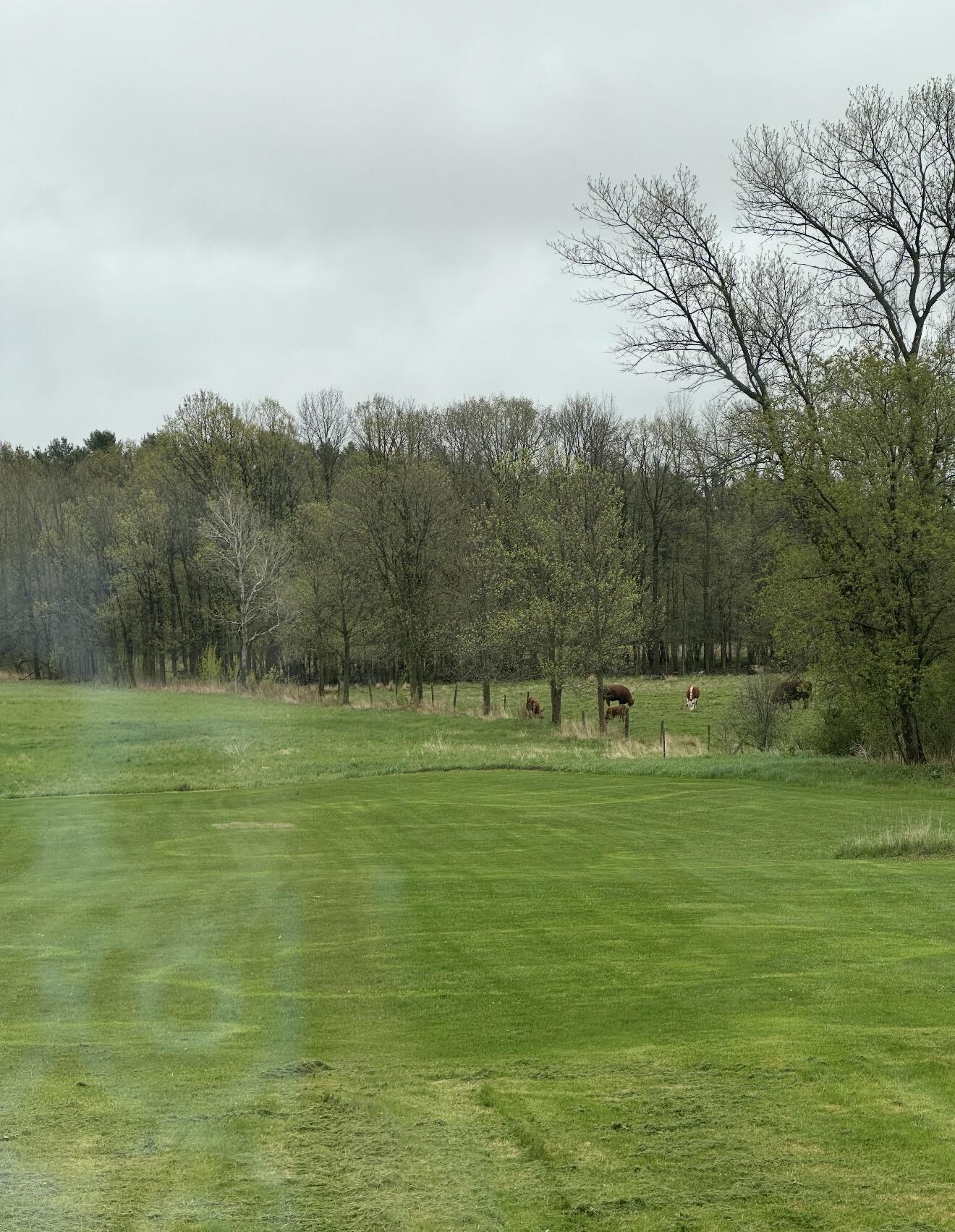 248 Ratta Road Chazy, NY 12921 - Photo 14 of 19 Back Yard