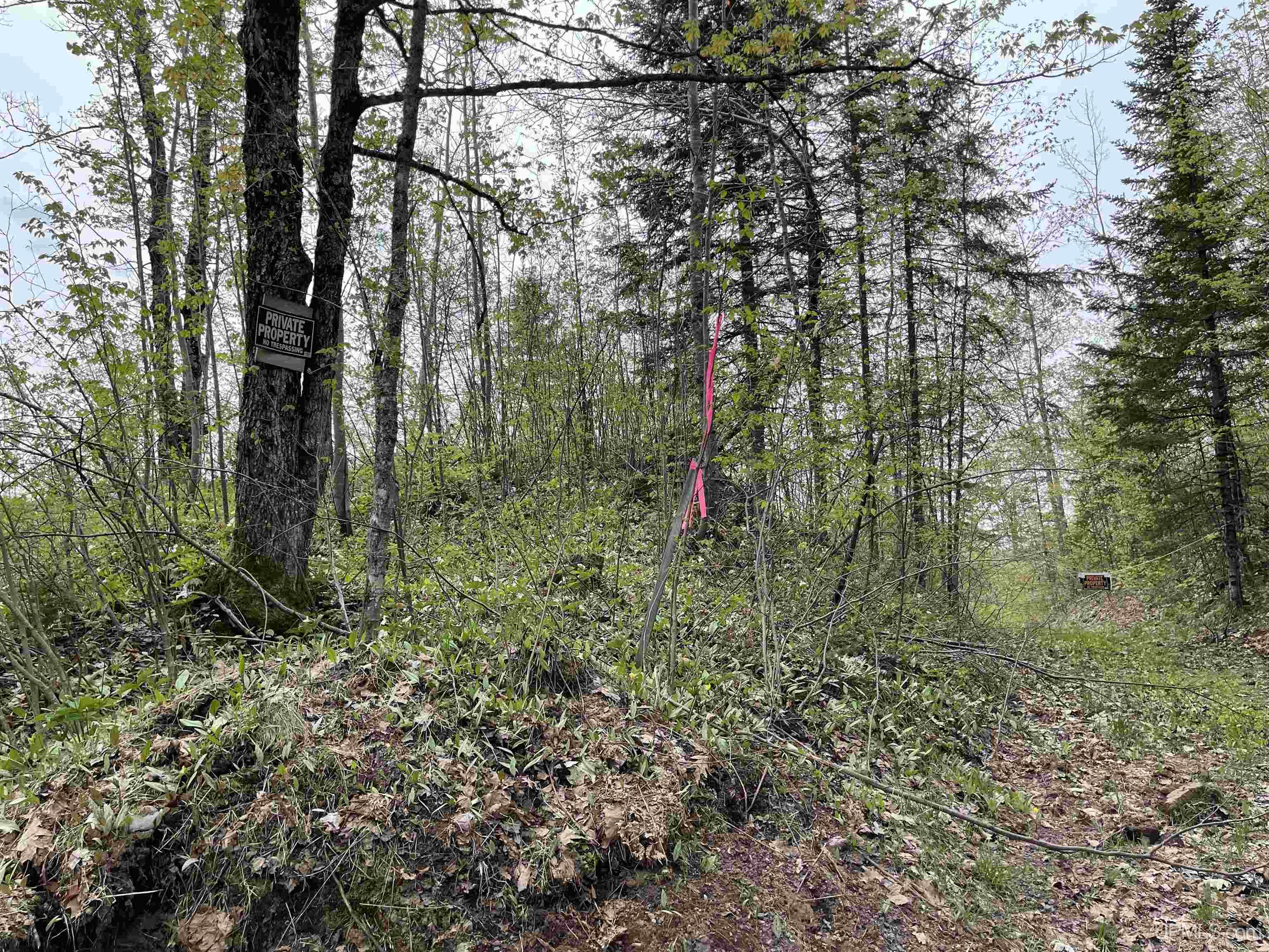 N10186 Burt Street Ramsay, MI 49959 - Photo 71 of 75 Gallery Image 71