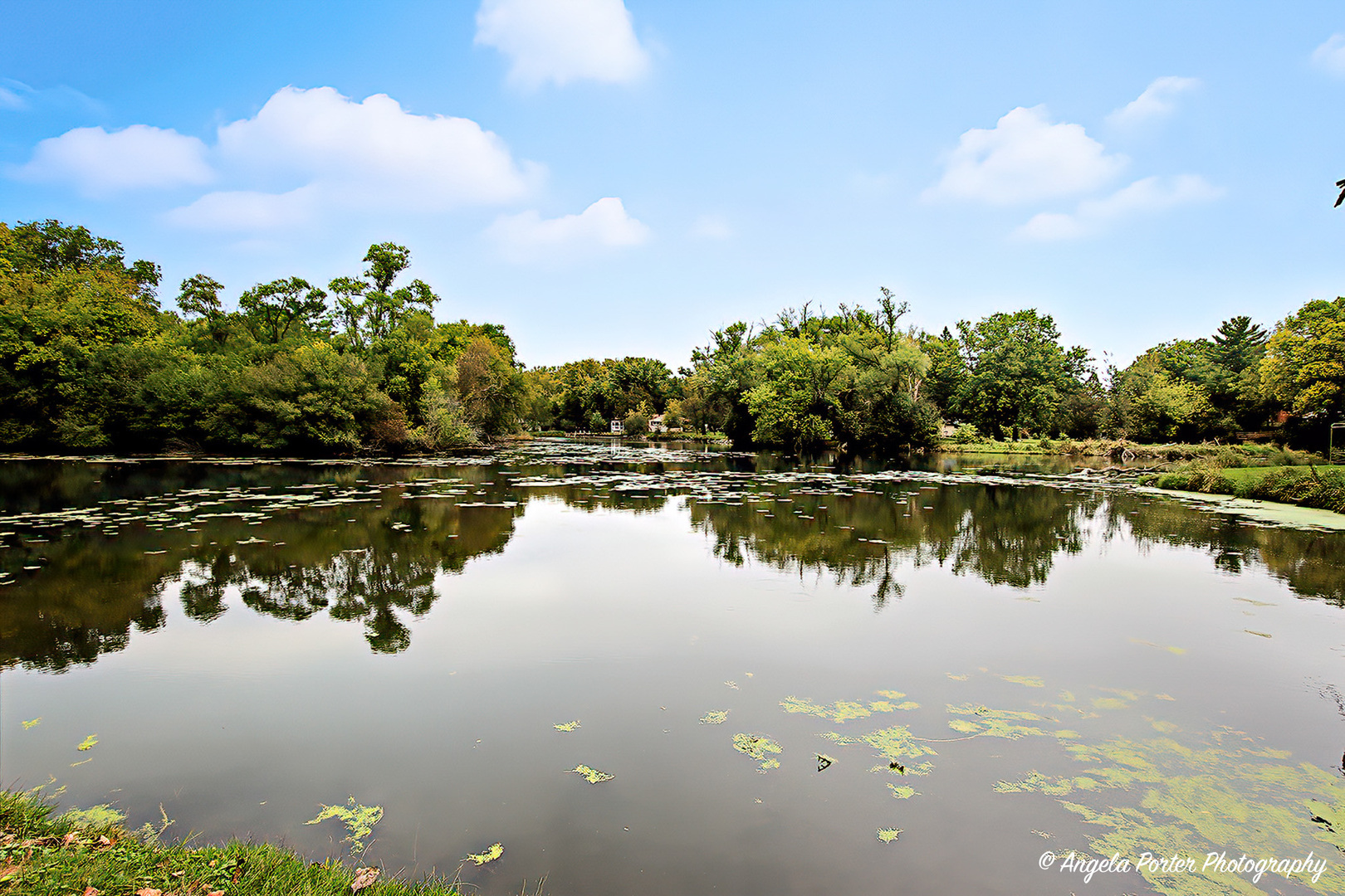 5703 Fox Lake Road McHenry, IL 60051 - Photo 18 of 20 a view of lake