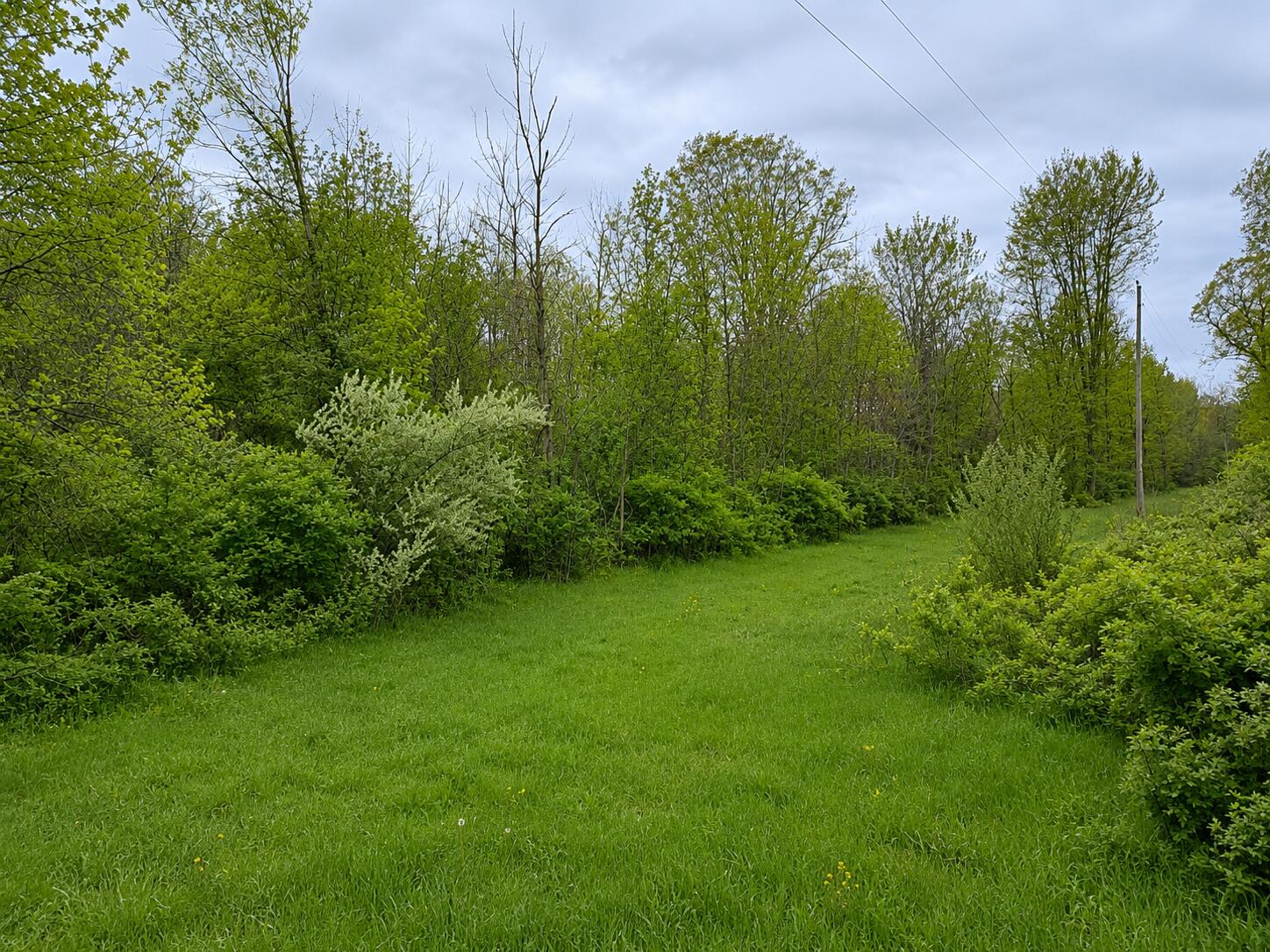 8400 Kruger Road Three Oaks, MI 49128 - Photo 8 of 8 8400 Kruger
