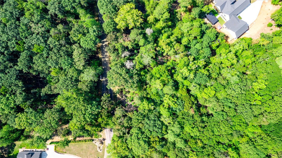 Tbd Tbd Pintail Road Anderson, SC 29626 - Photo 17 of 18 Mature woodlands envelope this serene property setting, offering unparalleled privacy and natural beauty.