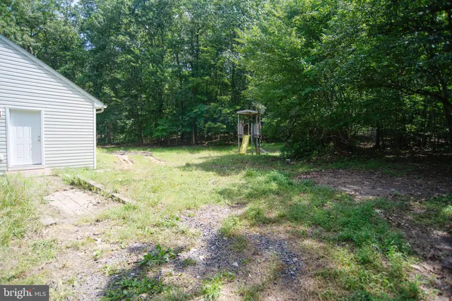 a view of a backyard with large trees