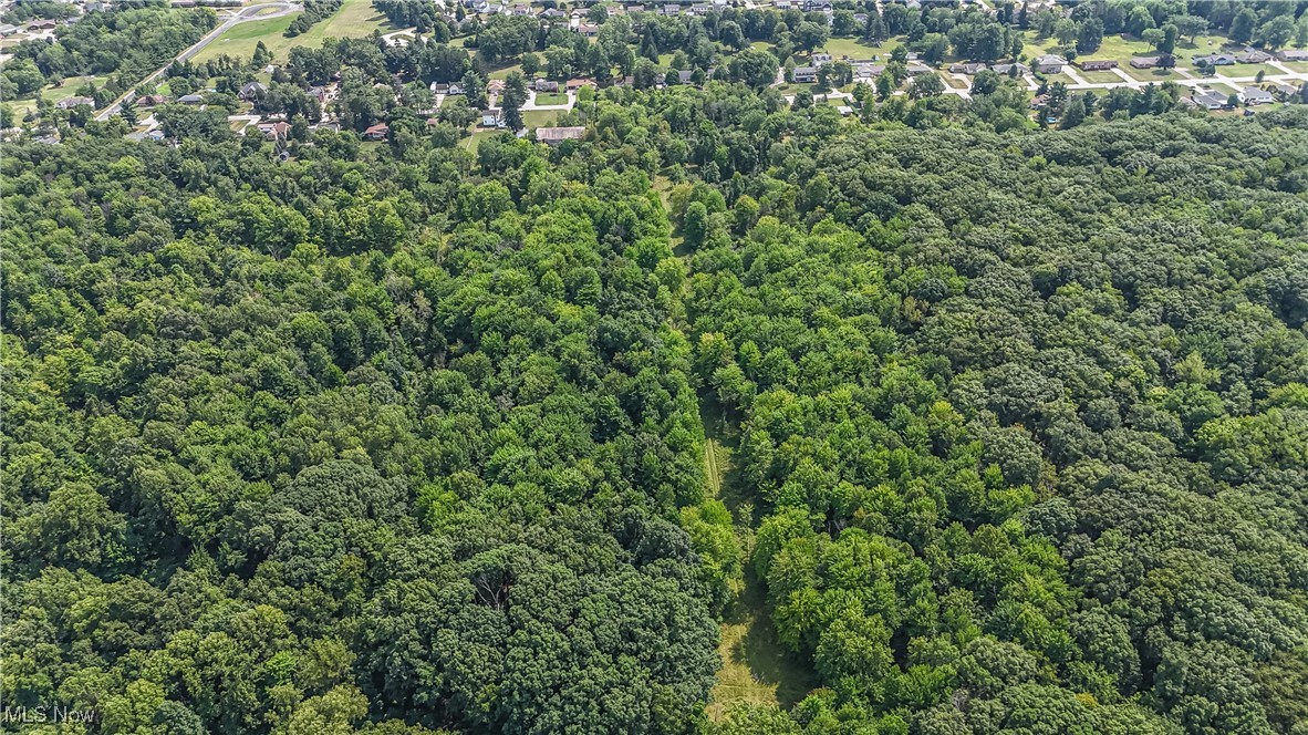 Drake Road Strongsville, OH 44136 - Photo 19 of 20 Aerial view From Cleveland Metroparks
