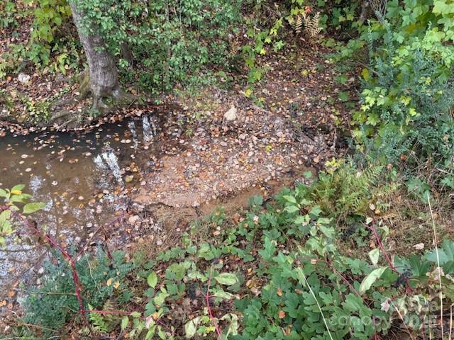 0 Oakland Road Spindale, NC 28160 - Photo 14 of 20 a view of a yard with a tree