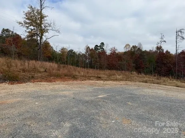 a view of a yard