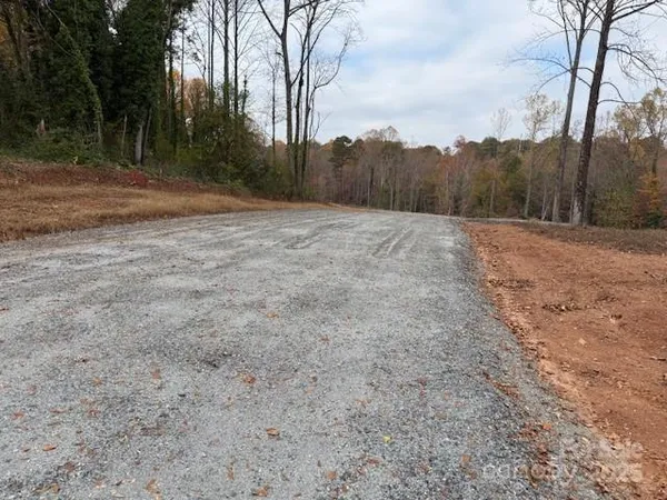 a view of a dry yard with trees
