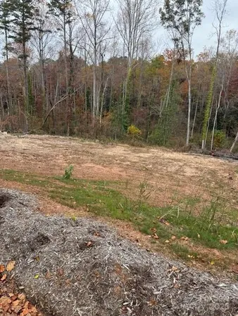 a view of a yard with trees