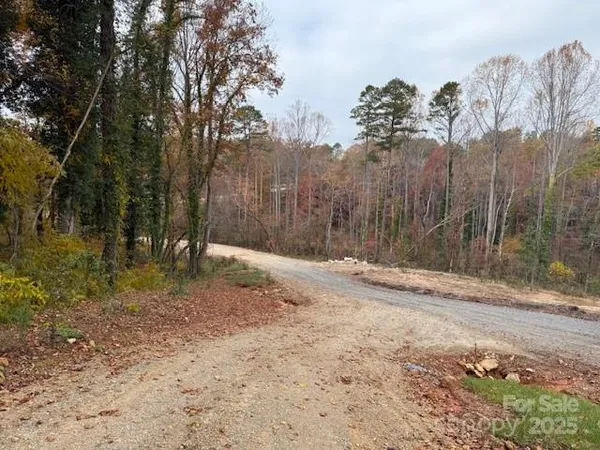 a view of a yard with trees