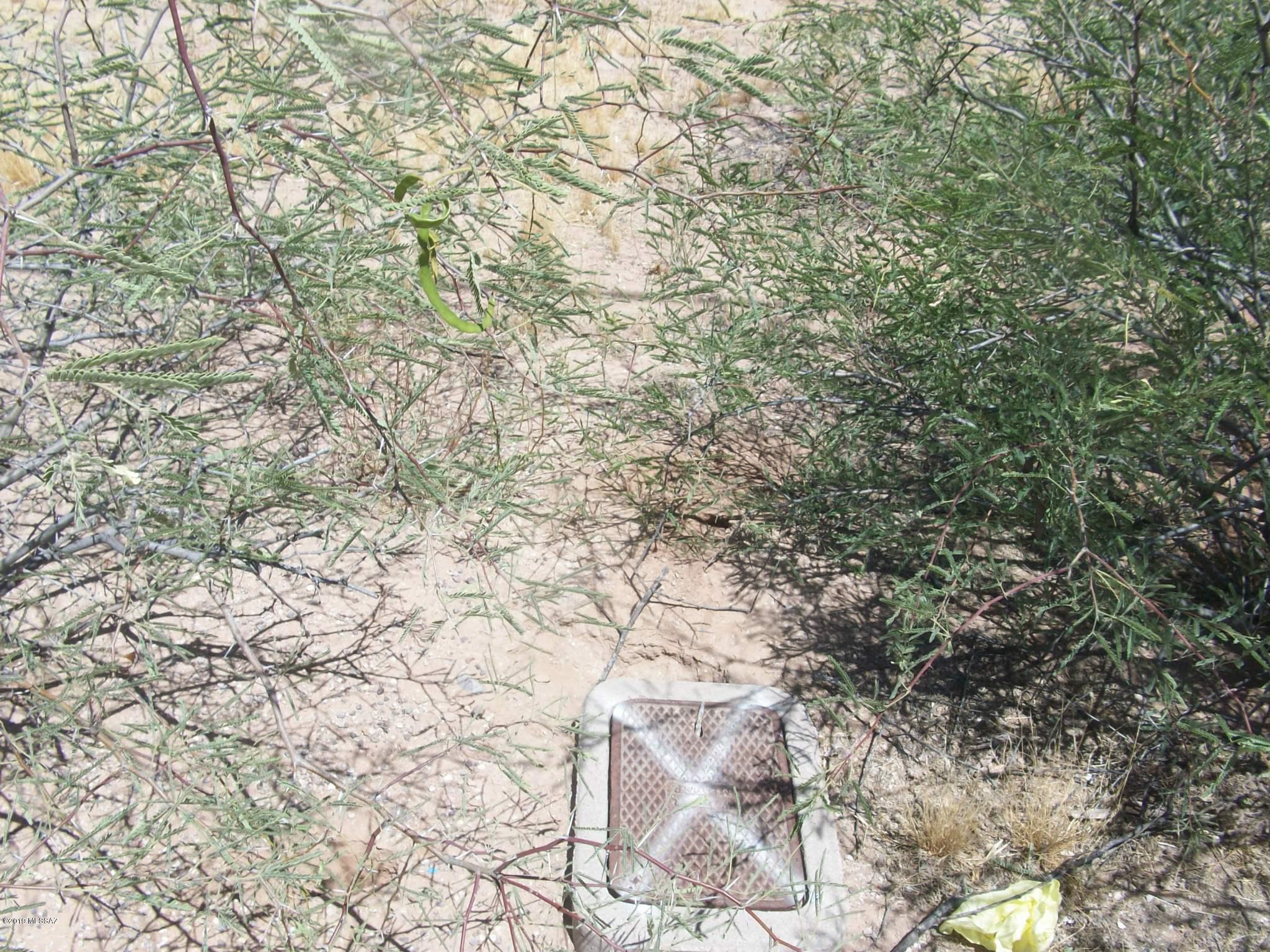 12820 North Derringer Road, Unit 43 Marana, AZ 85653 - Photo 4 of 9 Gallery Image 4