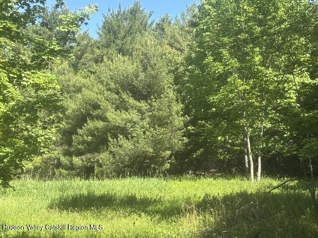 0 Peck Road Maplecrest, NY 12454 - Photo 4 of 11 3