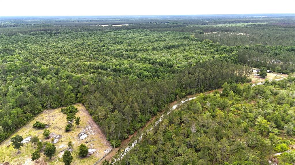 Sweet Gum Road Glen St. Mary, FL 32040 - Photo 32 of 44