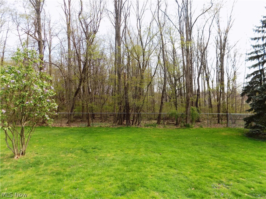 327 West Howe Road Tallmadge, OH 44278 - Photo 29 of 29 Huge, mostly fenced back yard