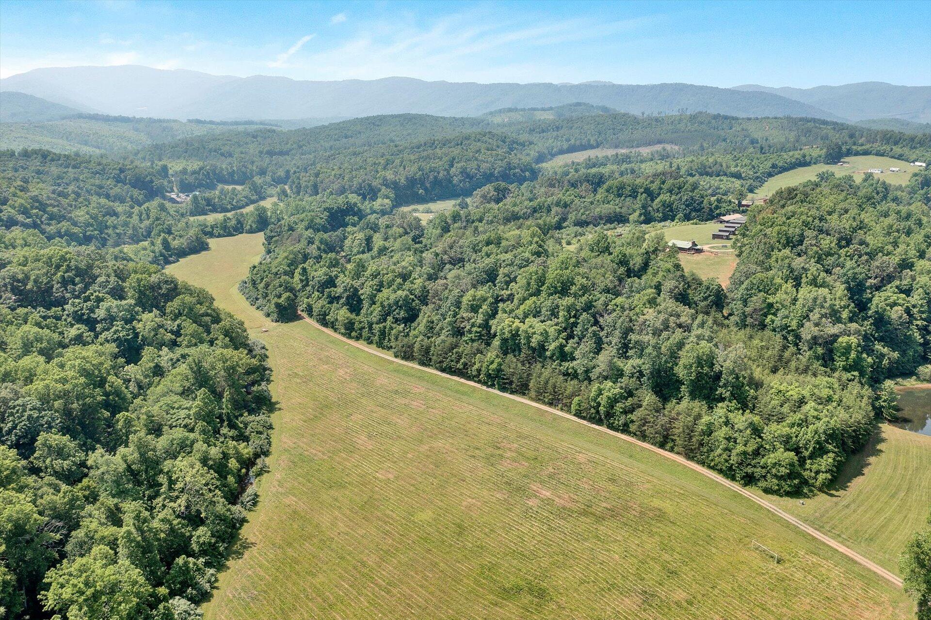 2446 Deer Run Road Ferrum, VA 24088 - Photo 116 of 145 a view of a lush green hillside and a mountain