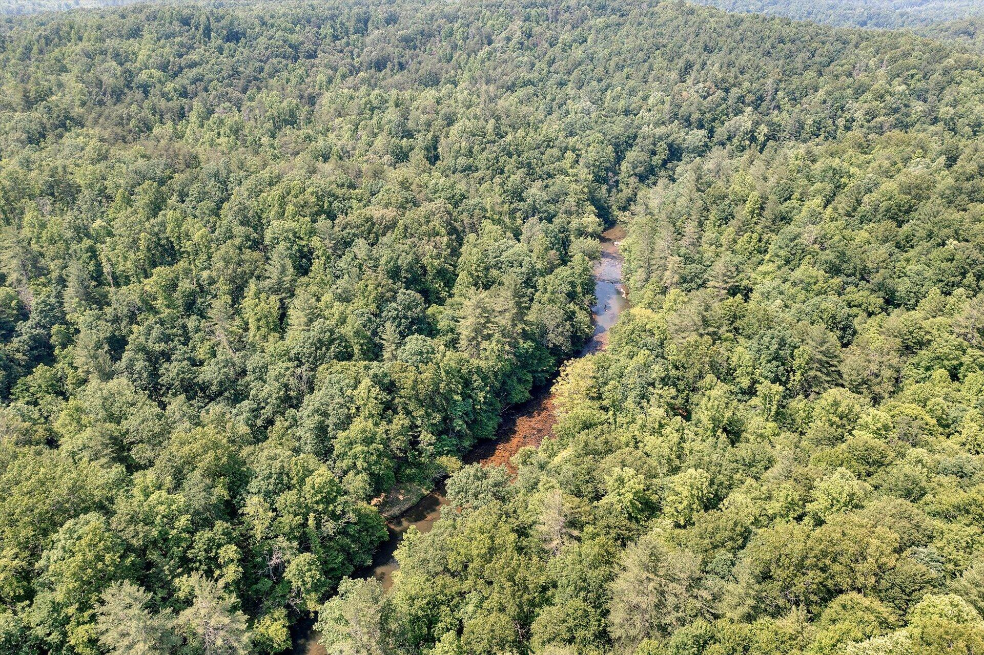 2446 Deer Run Road Ferrum, VA 24088 - Photo 117 of 145 Mostly Wooded Acreage