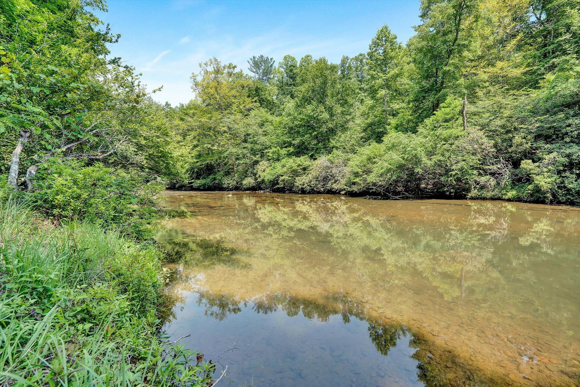 2446 Deer Run Road Ferrum, VA 24088 - Photo 131 of 145 Swim in the River