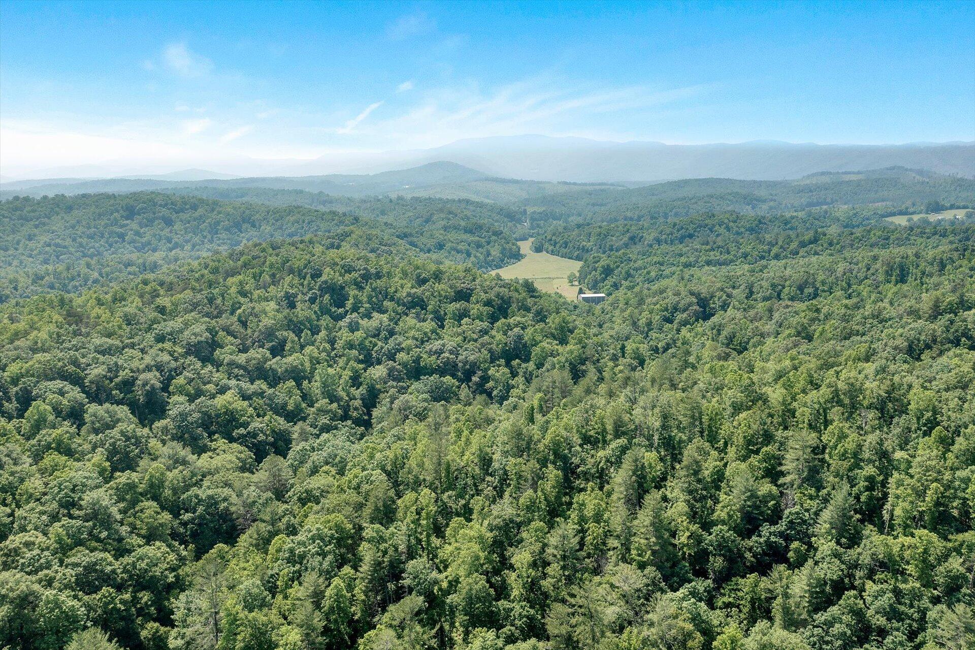 2446 Deer Run Road Ferrum, VA 24088 - Photo 136 of 145 an aerial view of residential houses with outdoor space and trees
