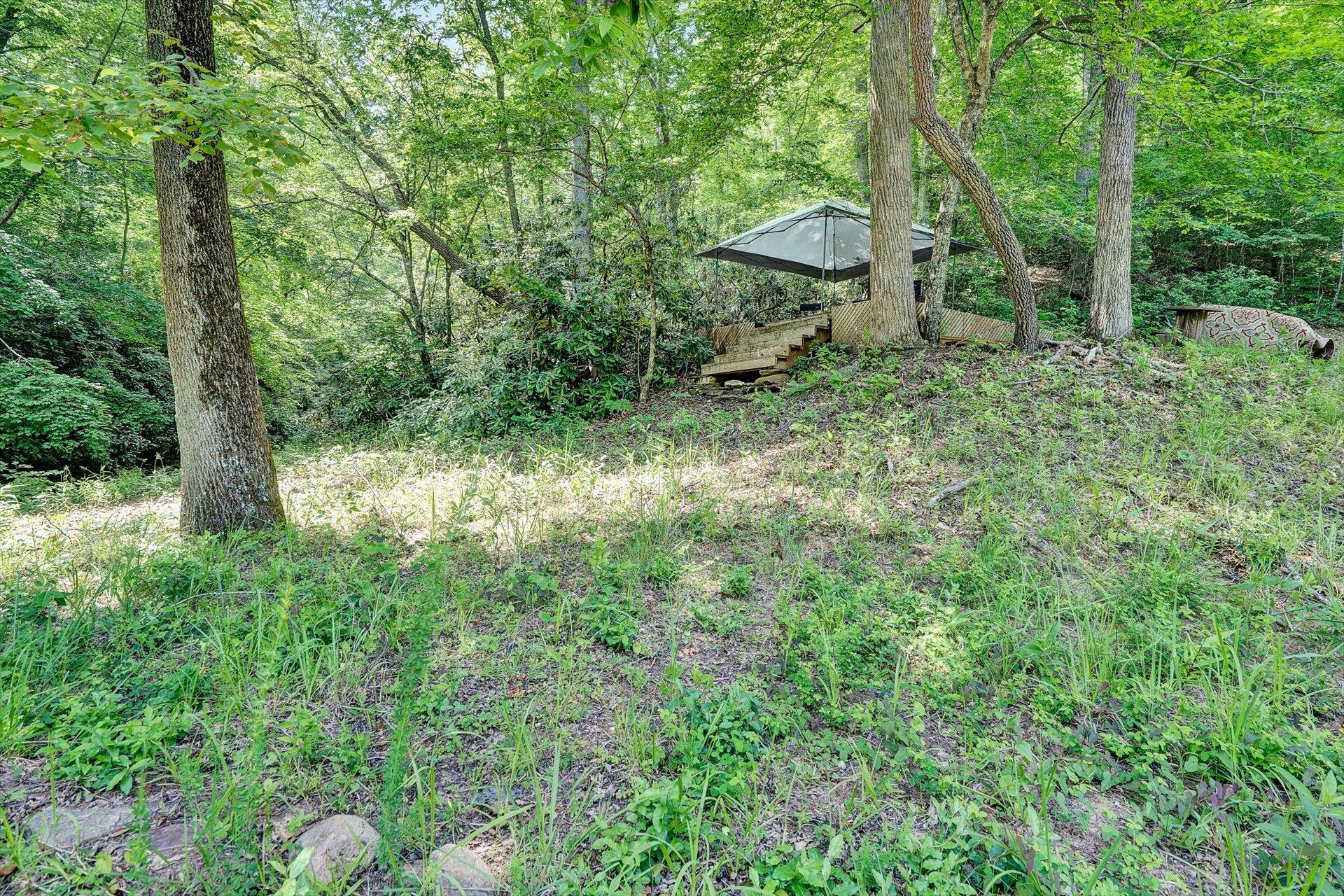 2446 Deer Run Road Ferrum, VA 24088 - Photo 30 of 145 Enjoy Nature