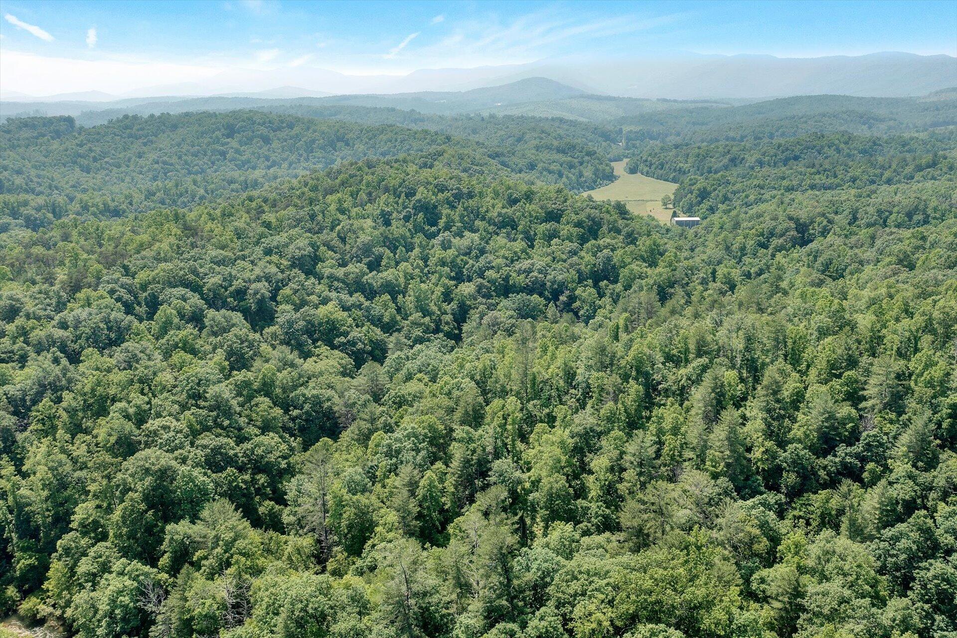 2446 Deer Run Road Ferrum, VA 24088 - Photo 5 of 145 an aerial view of residential houses with outdoor and green space