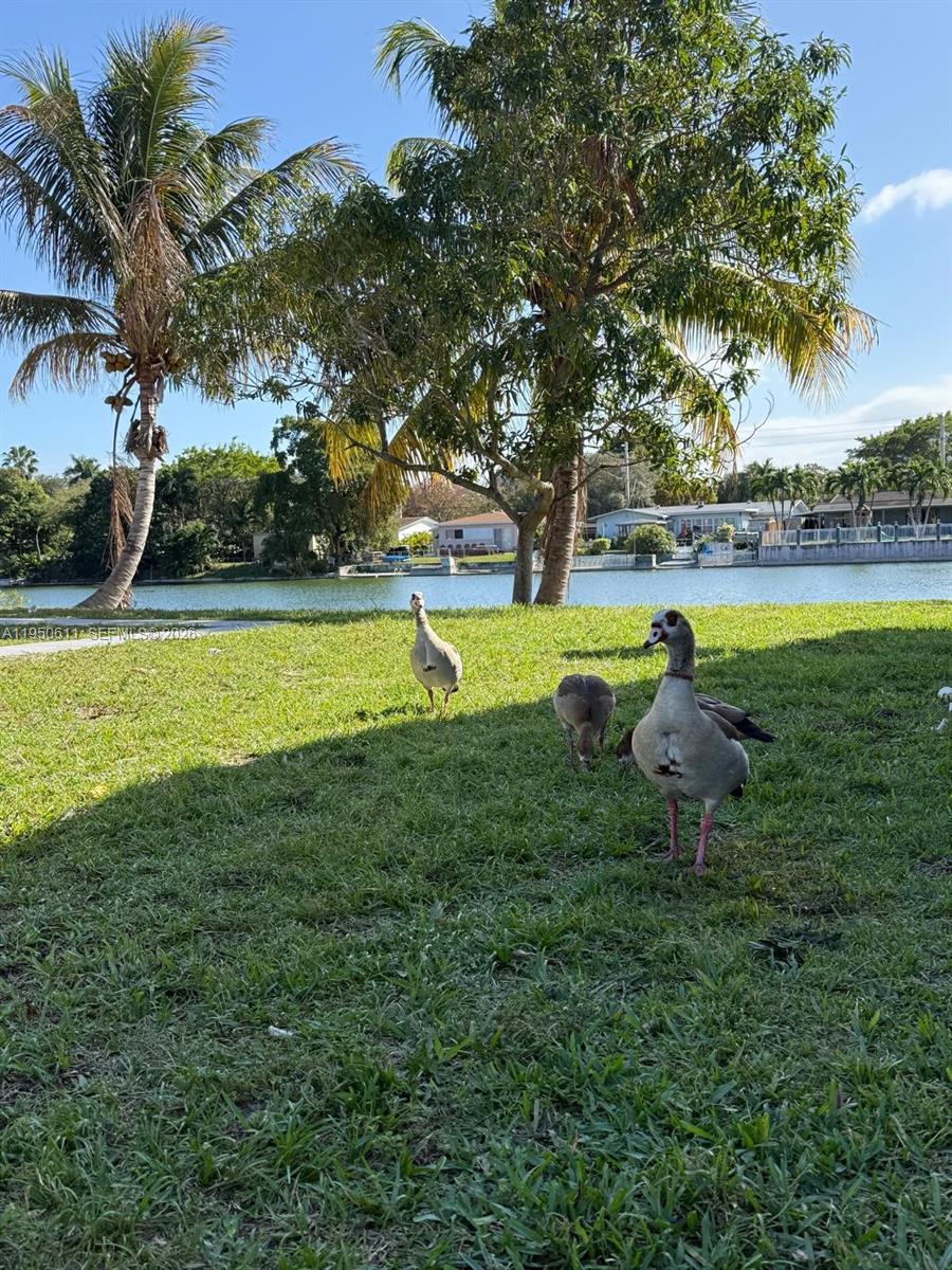 1054-1058 Southwest 2nd Street, Unit 1058 Hallandale Beach, FL 33009 - Photo 2 of 15