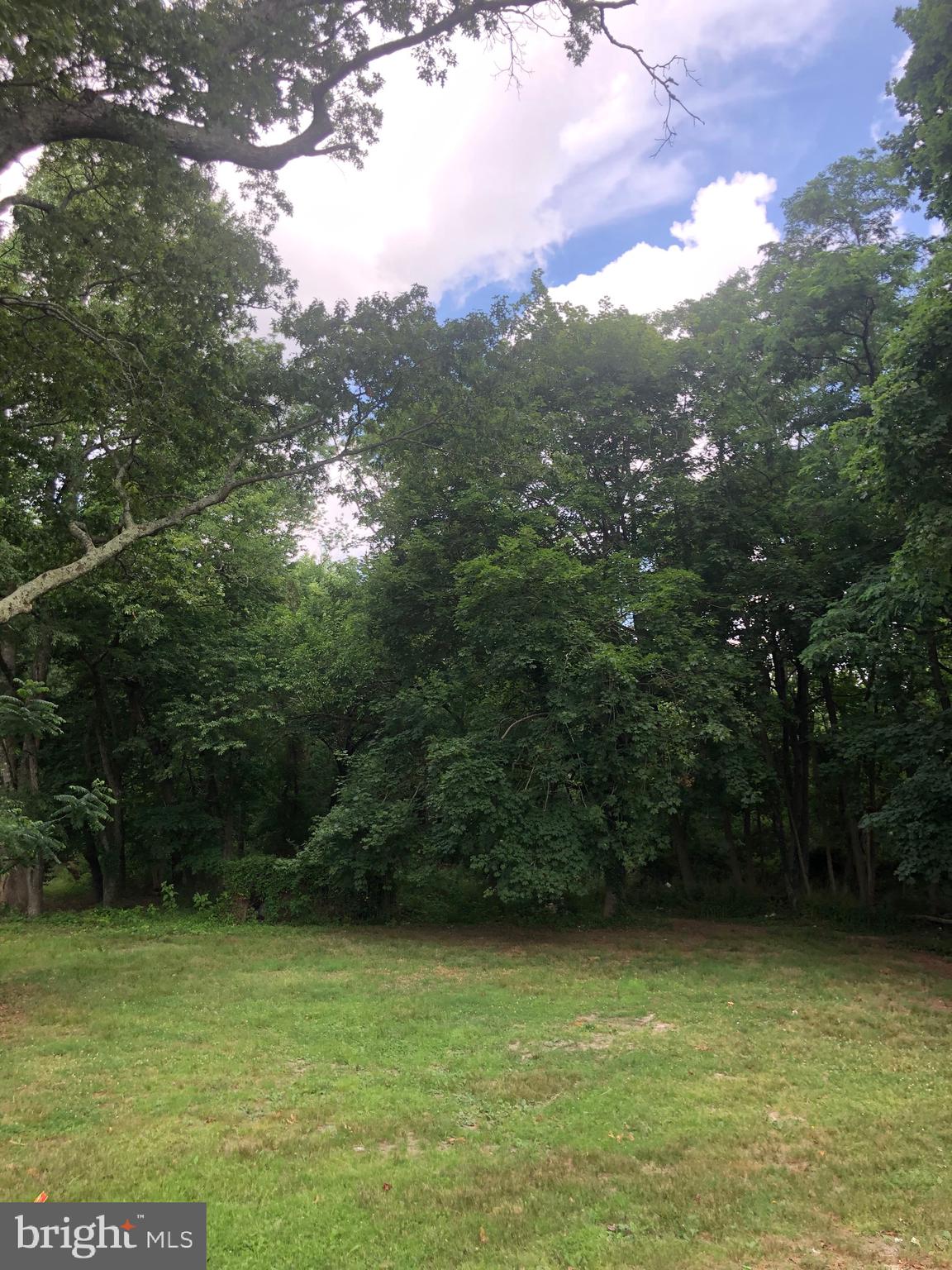 2586 South Main Road Vineland, NJ 08360 - Photo 4 of 14 Back yard