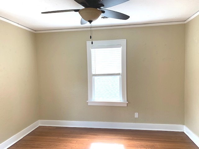 261 Rouse Avenue Mundelein, IL 60060 - Photo 9 of 18