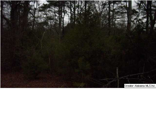 Peaceful Valley Road, Unit 38 5 Eastaboga, AL 36260 - Photo 11 of 11