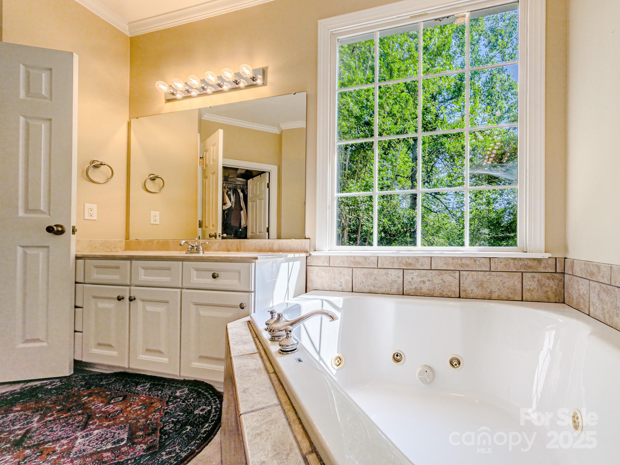 196 Col Hamptons Court Rutherfordton, NC 28139 - Photo 19 of 47 a spacious bathroom with a tub sink and mirror