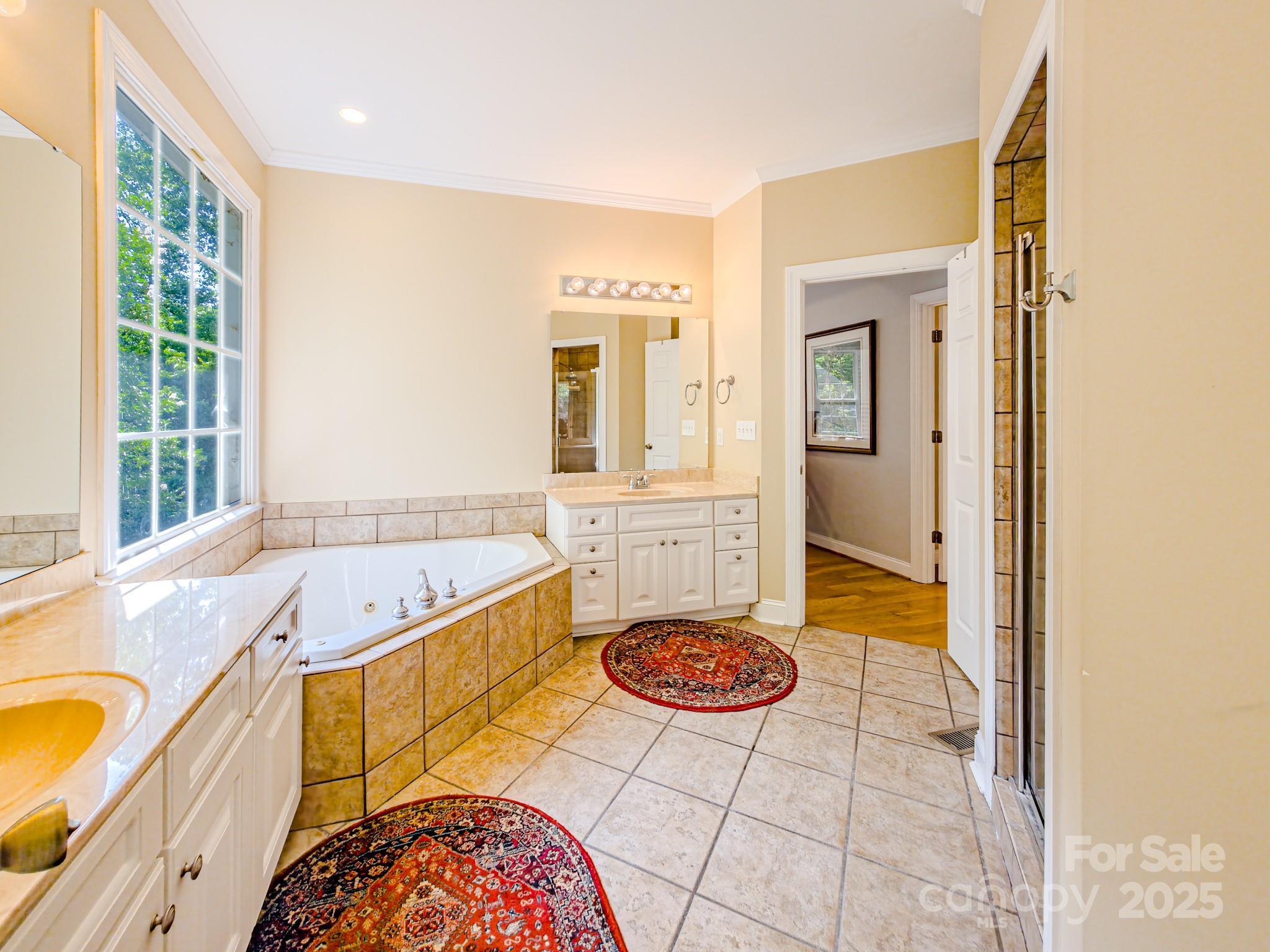 196 Col Hamptons Court Rutherfordton, NC 28139 - Photo 20 of 47 a bathroom with a tub a sink and a view of living room