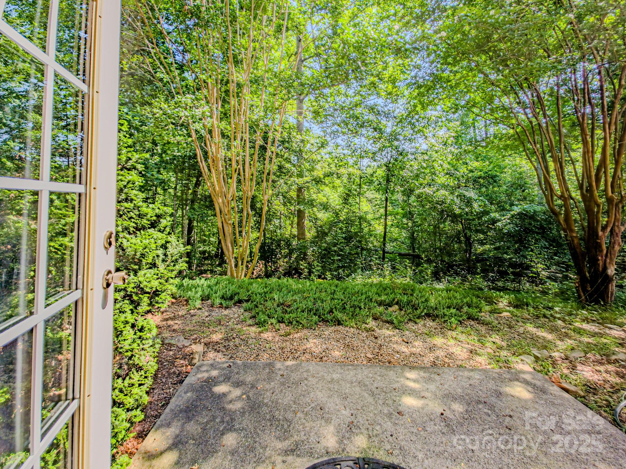 196 Col Hamptons Court Rutherfordton, NC 28139 - Photo 39 of 47 a view of a garden with plants