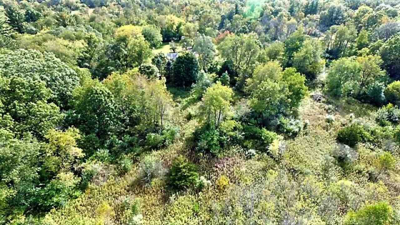 110 Lovesee Road Roscoe, IL 61073 - Photo 11 of 25 a view of a house with a tree