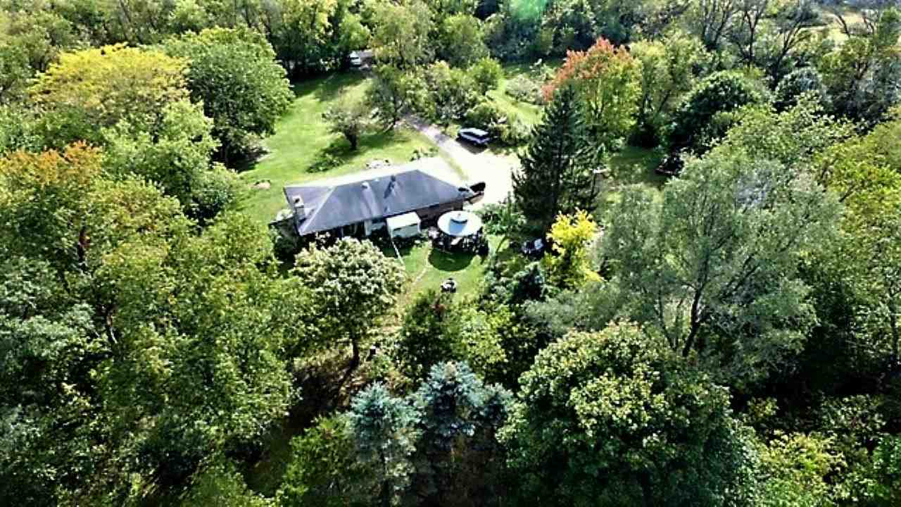 110 Lovesee Road Roscoe, IL 61073 - Photo 4 of 25 view of a lush green forest with lots of trees