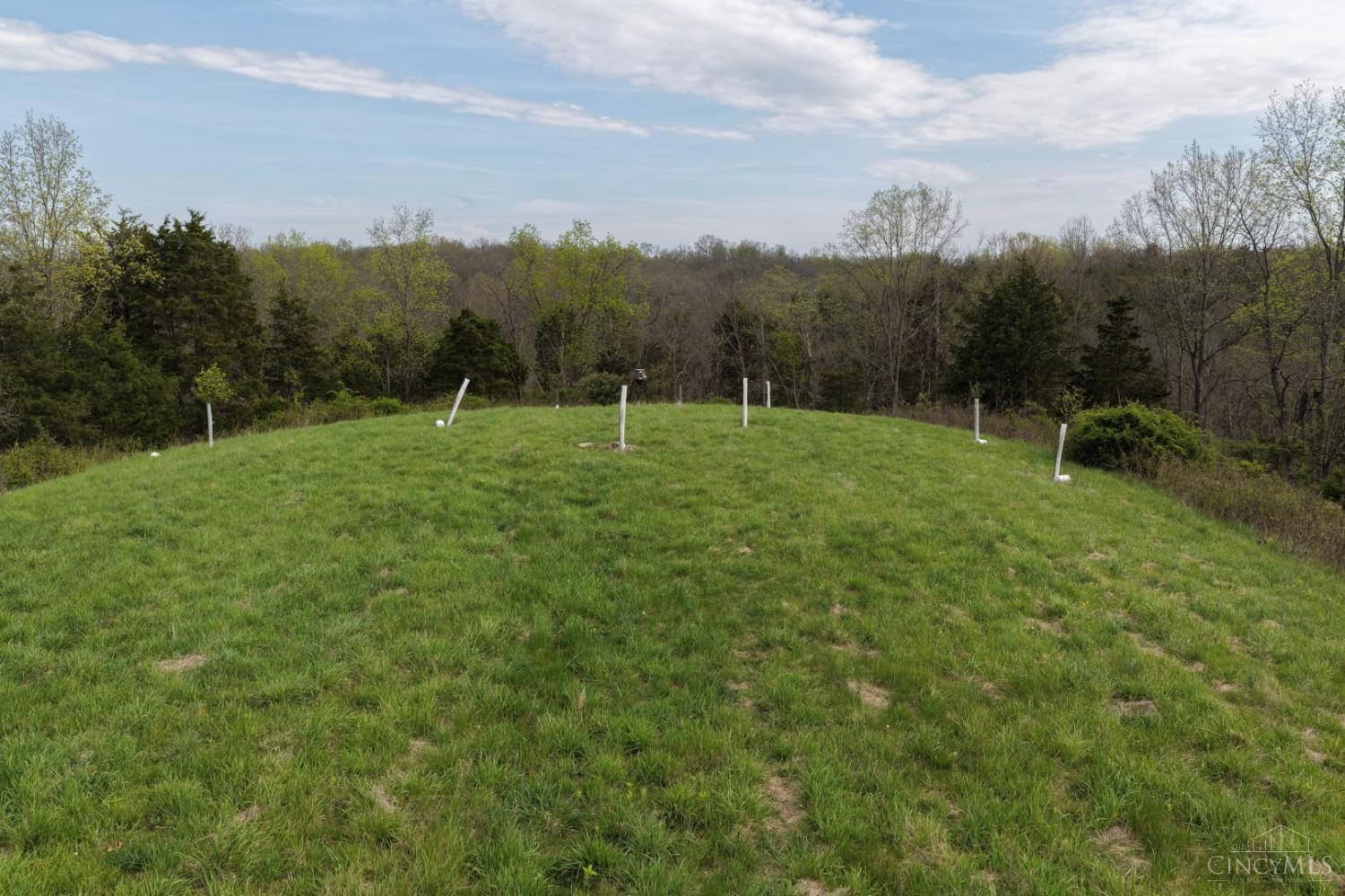 9951 Fishing Gut Road Aberdeen, OH 45101 - Photo 33 of 50