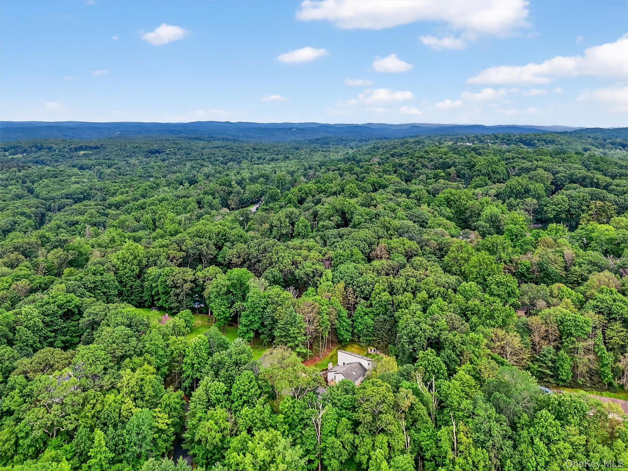 35 Greenlawn Road Amawalk, NY 10501 - Photo 50 of 50 a view of a big yard with lots of green space