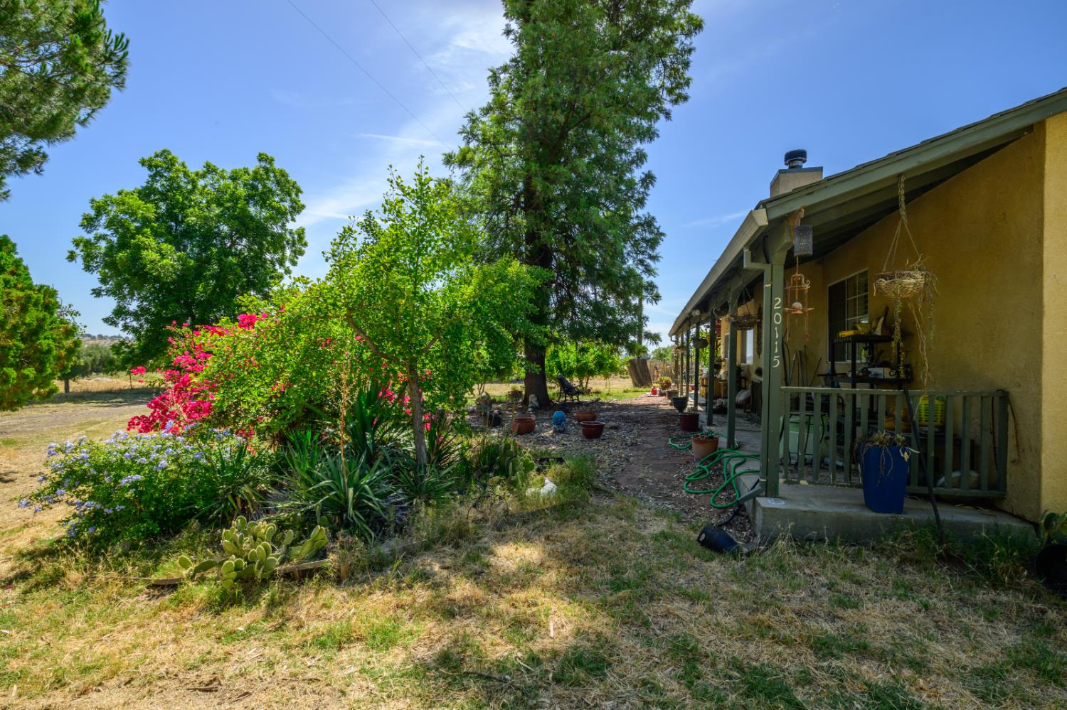 20115 County Road 79A Capay, CA 95607 - Photo 11 of 44
