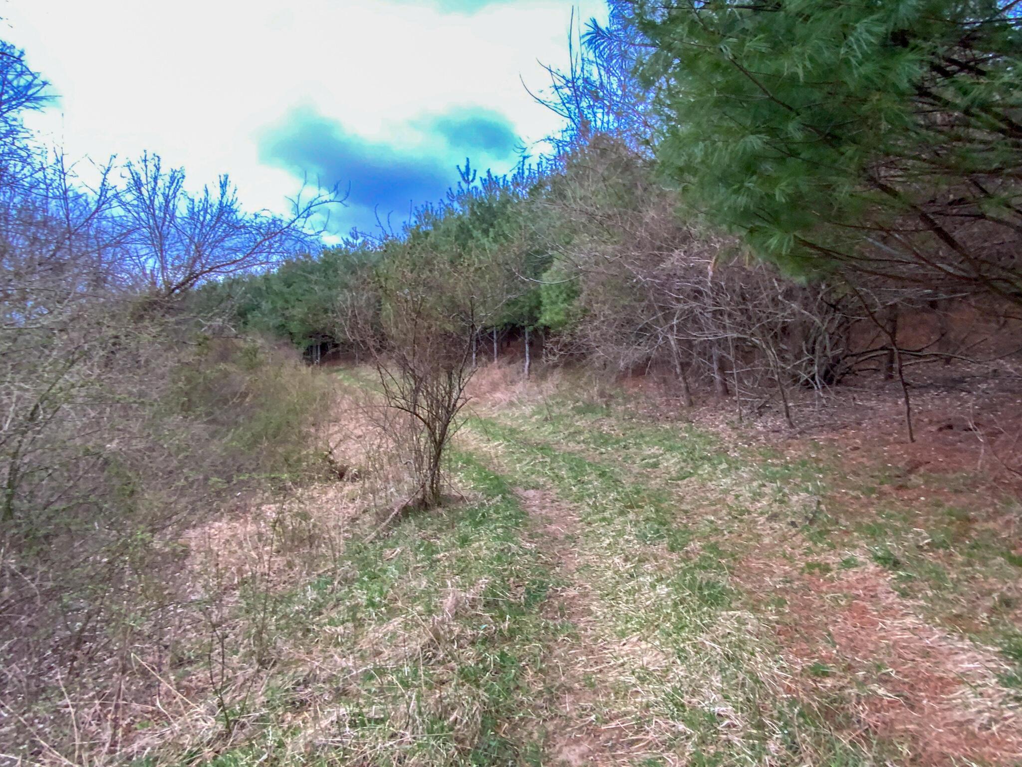 Lot 2 Fogle Road Caldwell, OH 43724 - Photo 4 of 23 IMG_5289