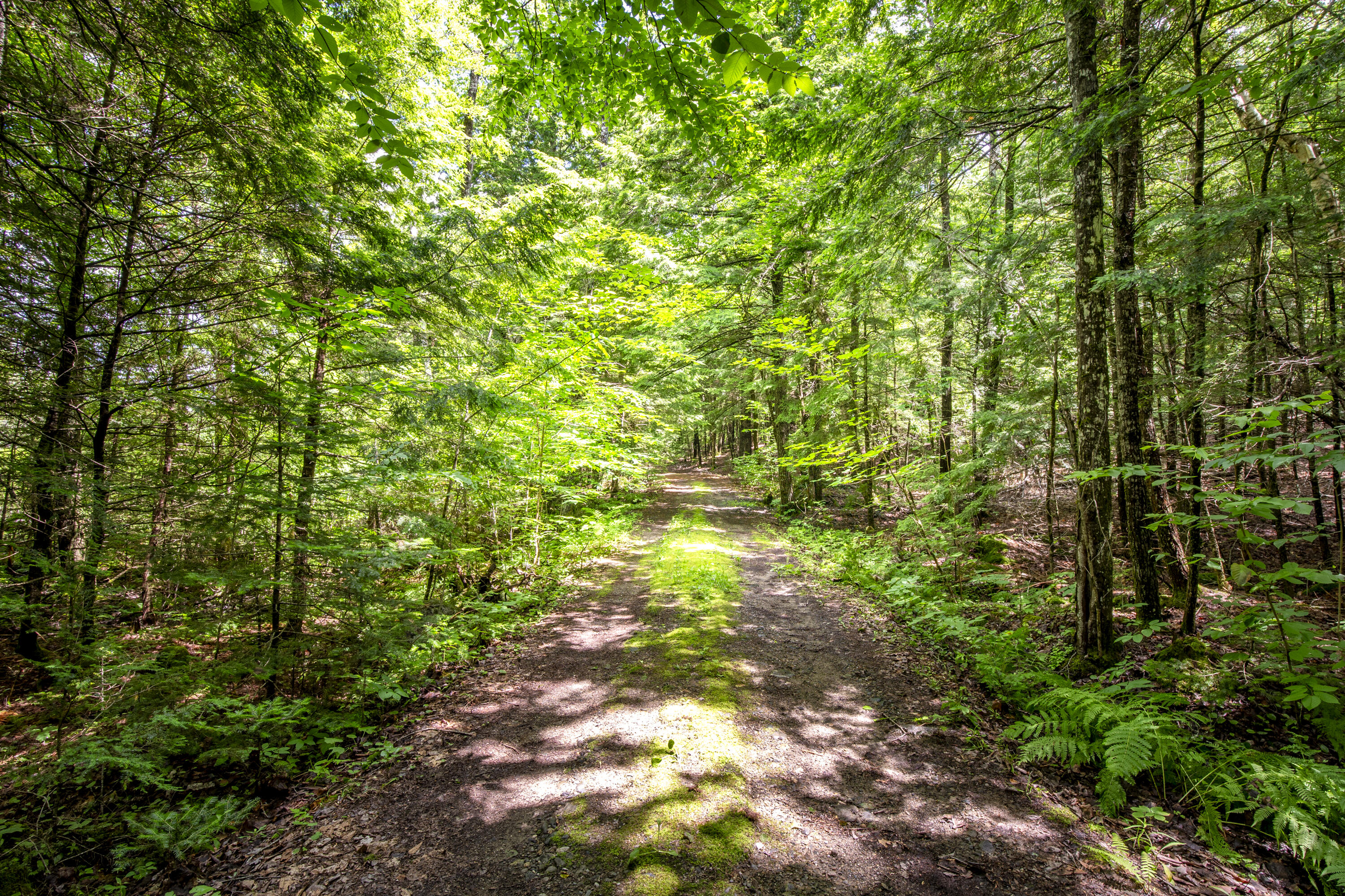 54 Jefferson Road Whitefield, ME 04353 - Photo 38 of 50 48-54JeffersonRd-Whitefield-KS