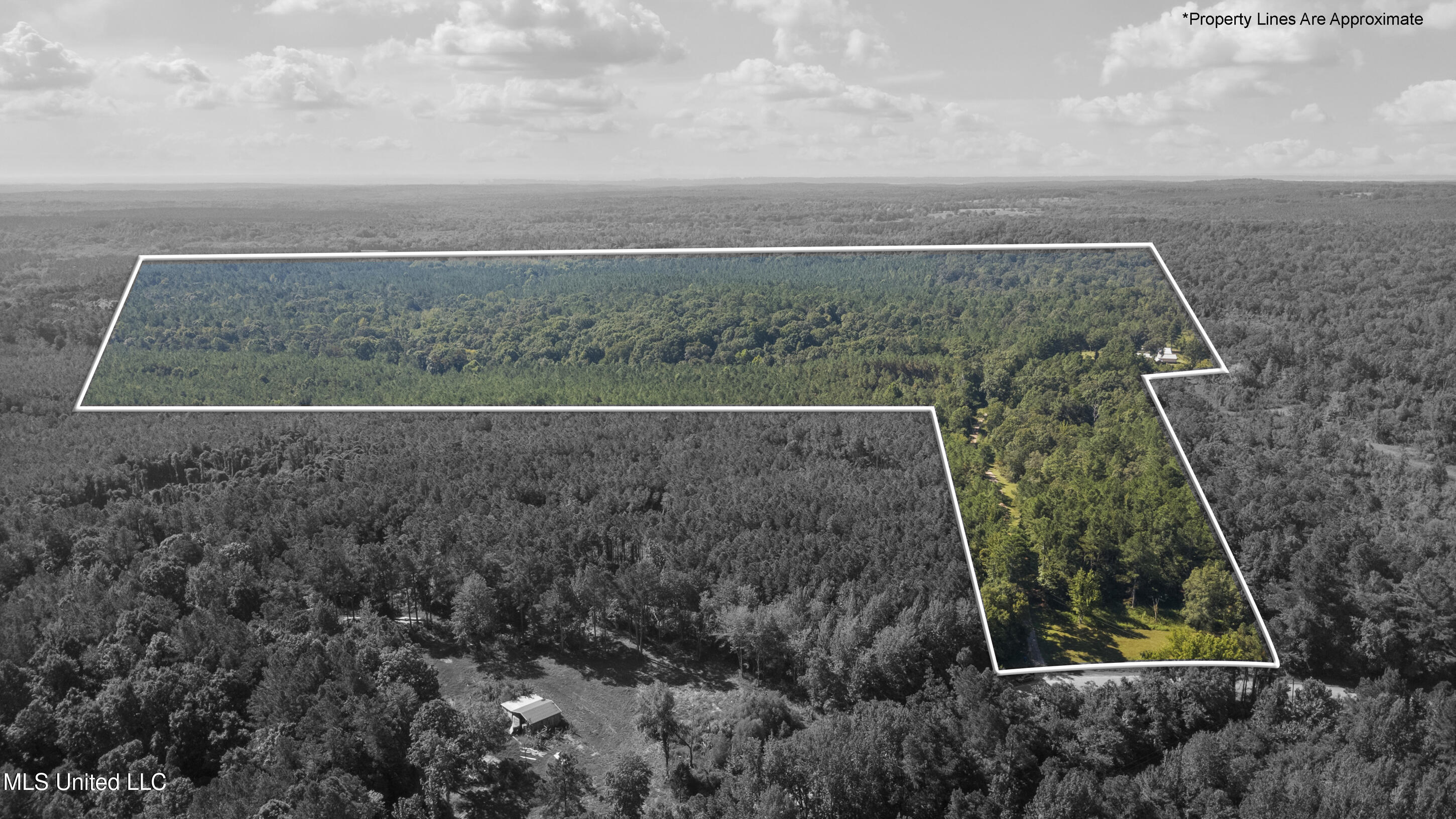 3007 Wilkins Chapel Road Holly Springs, MS 38635 - Photo 8 of 32 dji_0045