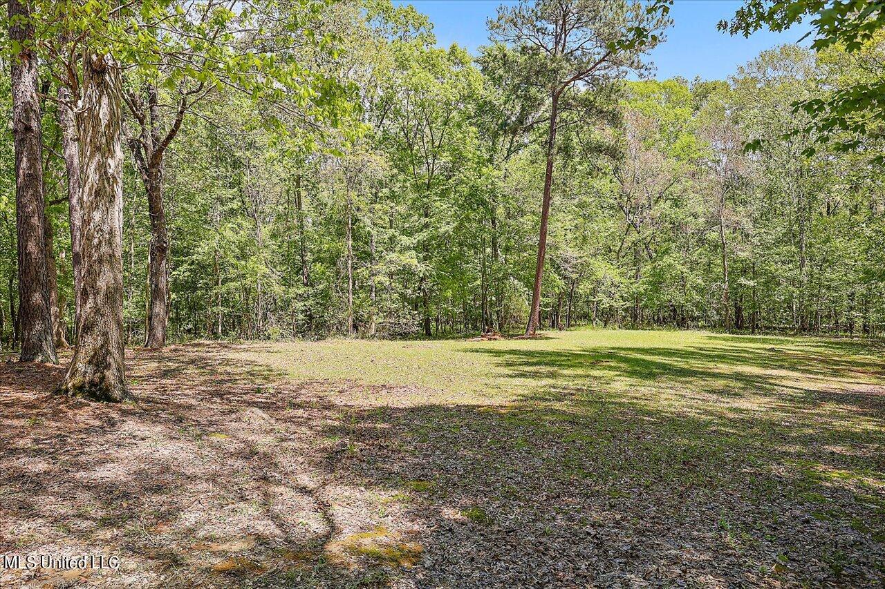 150 Glen Springs Road Brandon, MS 39047 - Photo 39 of 57 41-150 Glen Springs Rd