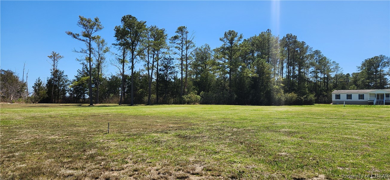 0 Piney Point Road Onemo, VA 23130 - Photo 14 of 14