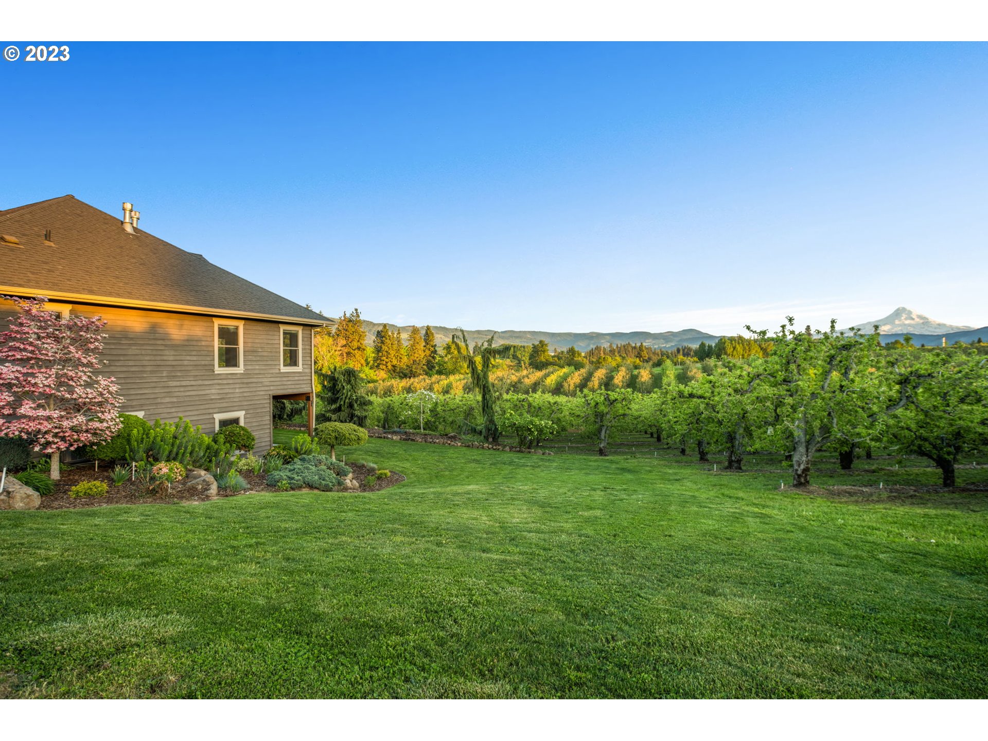 1575 Nunamaker Road Hood River, OR 97031 - Photo 41 of 48 a view of a big yard with potted plants and large tree