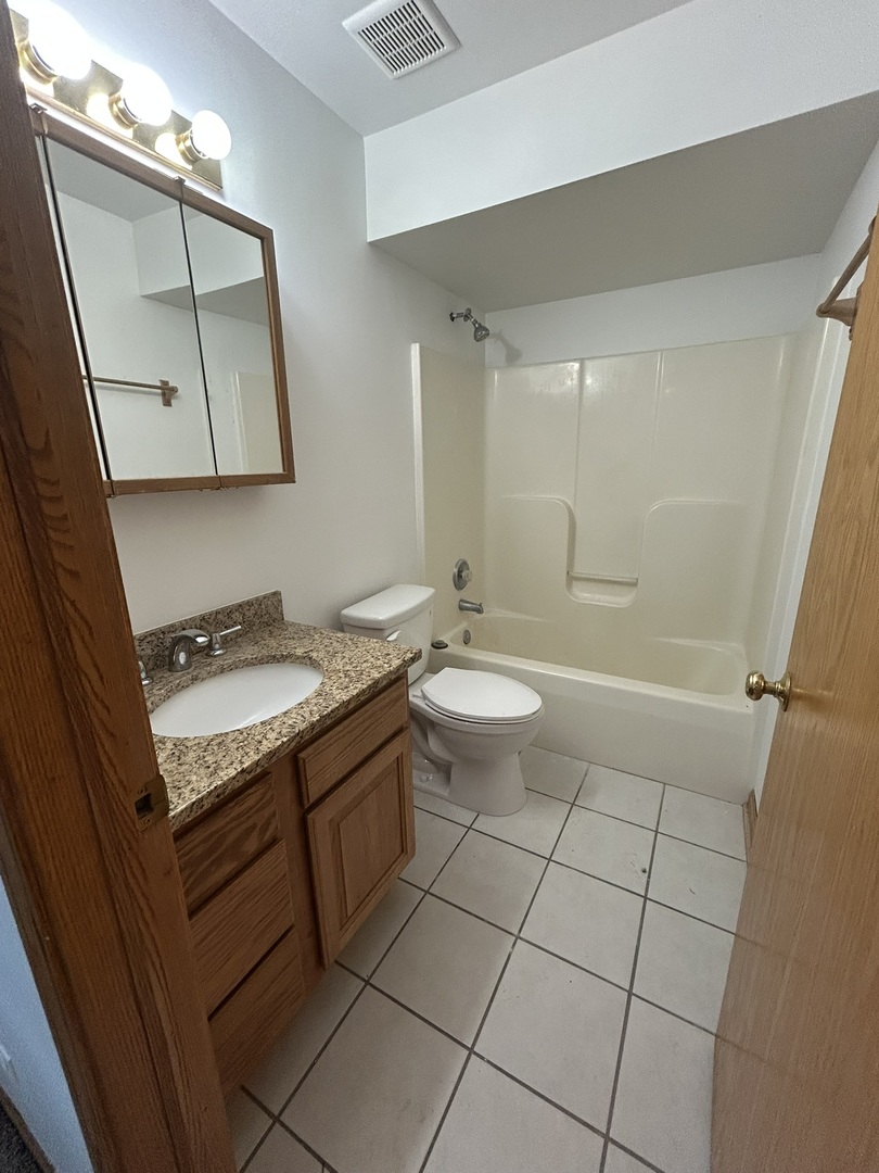 308 State Street, Unit 2 Lemont, IL 60439 - Photo 8 of 13 Gallery Image 8