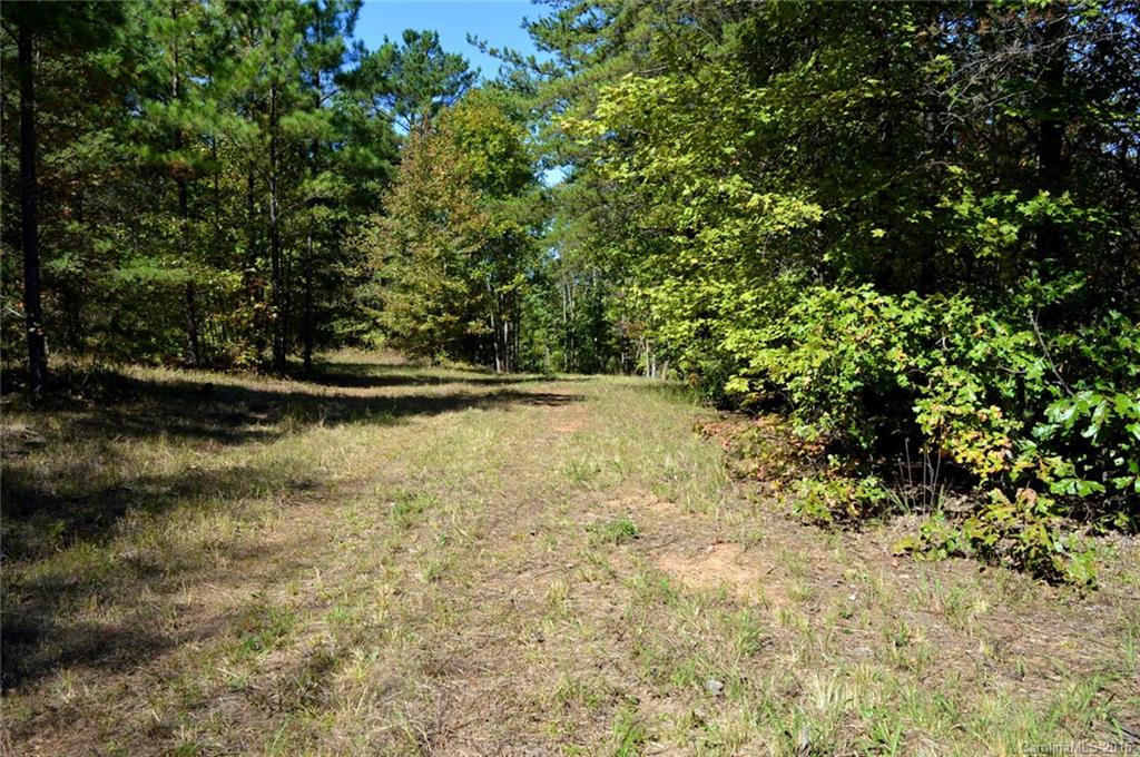 0 Sunny View Drive, Unit B Rutherfordton, NC 28139 - Photo 2 of 16